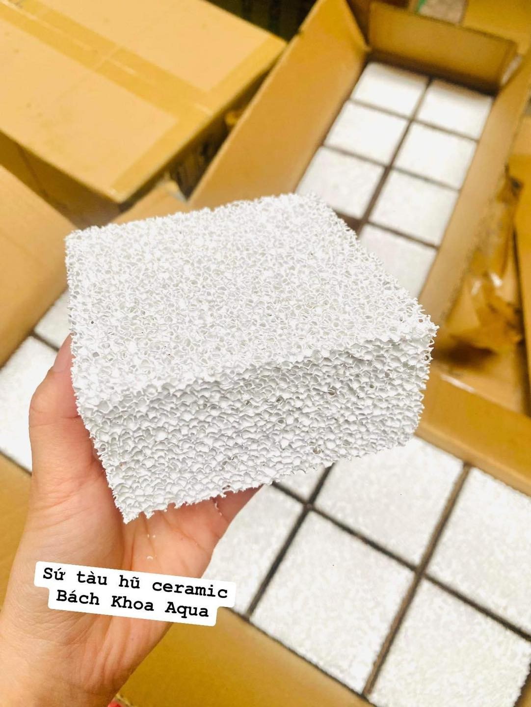 Sứ lọc tàu hũ Ceramic 10x10x5cm cho bể cá